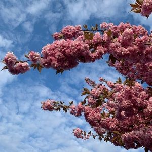 Meet your Posher, Katrina